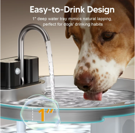 Dog drinking from the 25 mm deep tray of the Whiskeroot Aqua fountain