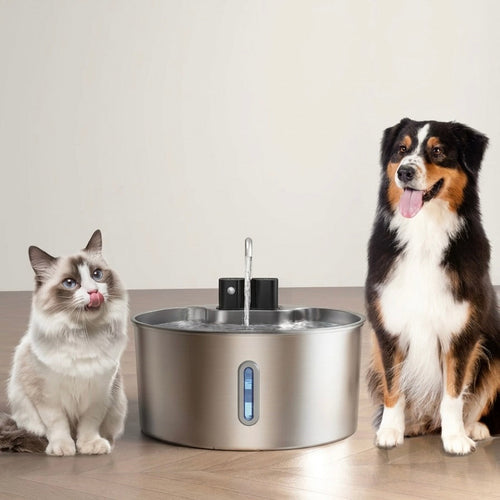A cat and a dog beside the Whiskeroot Aqua stainless steel water fountain on a wooden floor